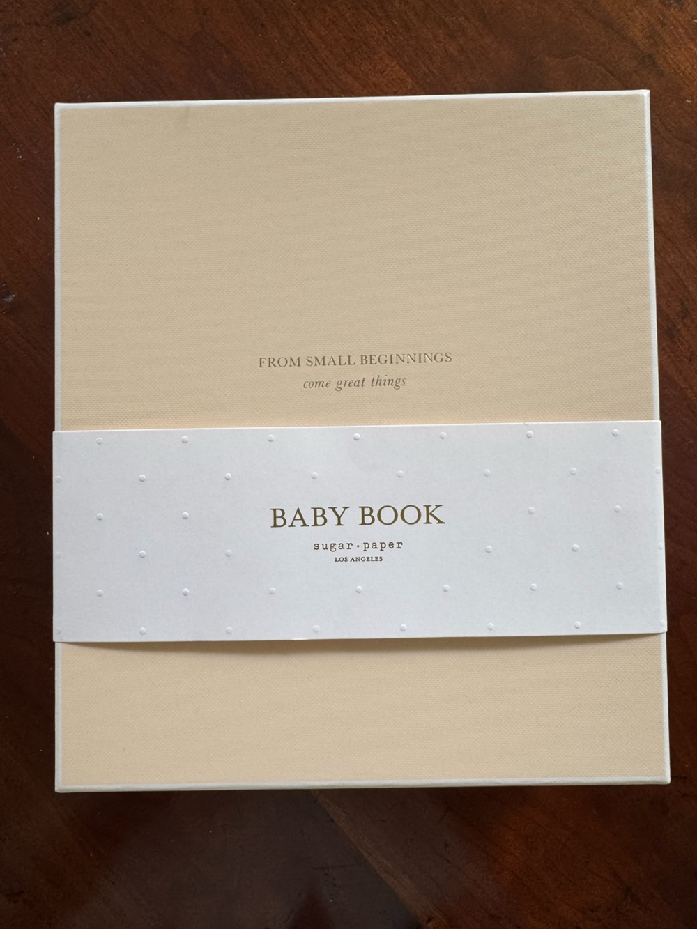 Sugar Paper x Maisonette Pink Gingham Baby Book NWT